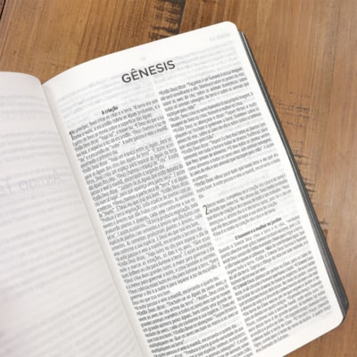 image_fbe3d767-a0e2-4df9-be12-62fdbd9a032a