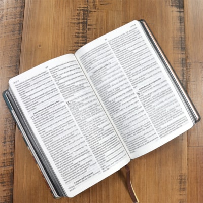 image_3be90cdb-fe56-442b-94f4-b08dab3afed3