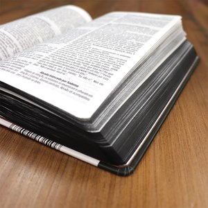 Bíblia Sagrada | Com Guia De Estudo Biblico J.O.I.A | NVT | Letra Normal | Capa Ceia