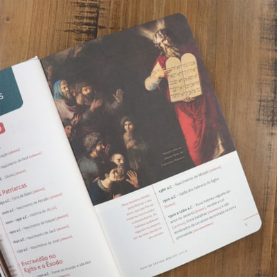 image_fc643497-1770-4323-922b-3255c0f83027