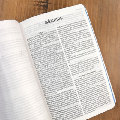 image_38932799-8f22-43dc-a2d7-bd7b5e74d214