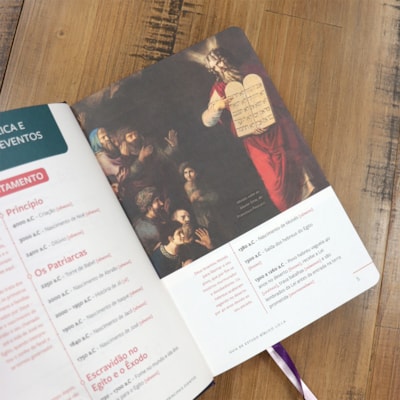 image_812500b5-1c43-404c-acce-cb5fefaab5d2