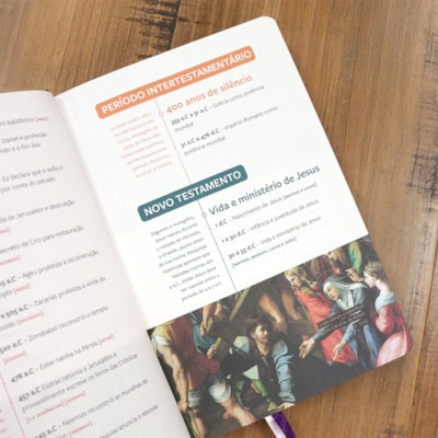 image_6dae750f-67d3-4813-8fd7-a5cf0e2ca1c4