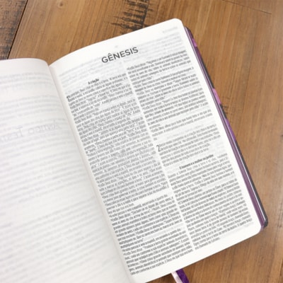 image_d6ebd22a-e090-48f5-96c8-5c4cc9f5000e