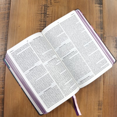 image_39fc4819-22d6-4f79-bc44-61a0e79c3ec2