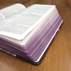 Bíblia Sagrada | Com Guia De Estudo Biblico J.O.I.A | NVT | Letra Normal | Capa Floral