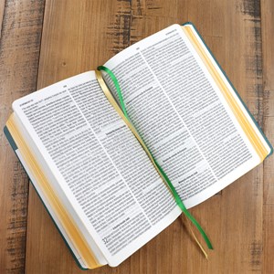 Bíblia Sagrada | Com Guia De Estudo Biblico J.O.I.A | NVT | Letra Normal | Capa Verde
