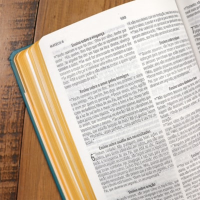 image_80ae96e9-440a-4606-8270-a8ebfa4e0f3f