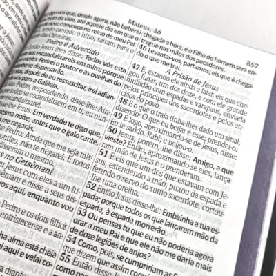 image_50173b25-2d21-4dcf-96b0-5fe3f059af46