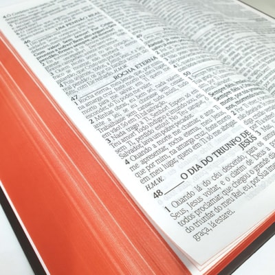 image_735ef1d5-65ba-4a30-9064-c60b8469dd33