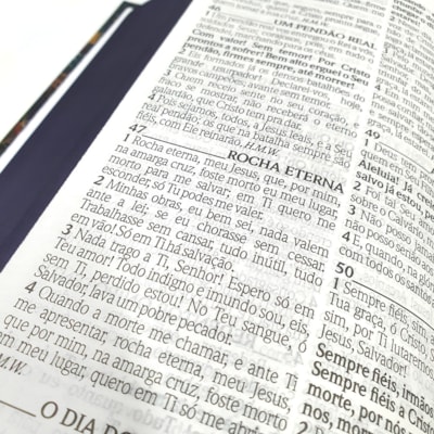 image_ba045ab0-90c9-4ea3-8ee9-9b8cc997fcf1