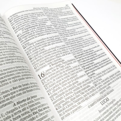 image_74f0c8ce-066f-497d-ae2f-5e146fb43034