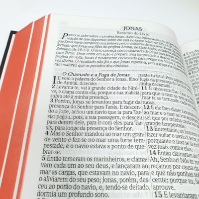 image_497d85cc-a643-45df-b34f-e060e0e725f0