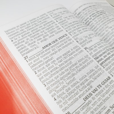 image_3006a5ee-7f2c-4f6a-a31b-60cbb572c0e3