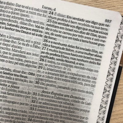 image_1b4a2e0c-4140-43e4-b29c-571ffa865a4d