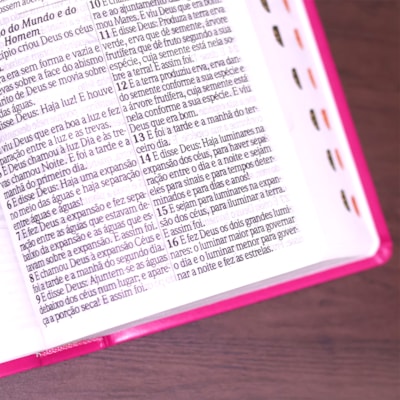 image_7bc24af6-8969-4f1c-92be-8a45ccf5ceb8