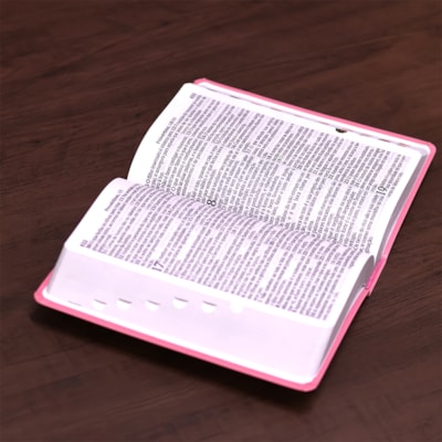 image_14fab556-f26c-4cfd-b7dc-bb599f55839e