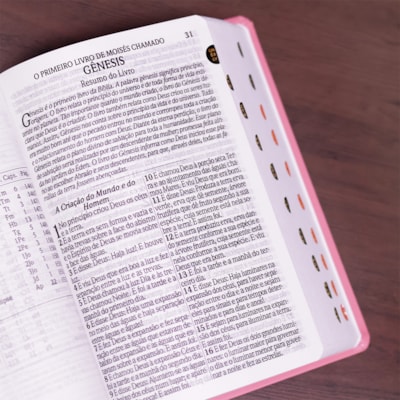 image_f9fb40bb-320a-4ed9-a68c-7e19659fd11b