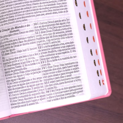 image_1093a213-2cf7-4121-8cae-c215e8749dc9