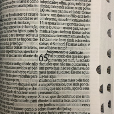 image_bbc00c34-dfb3-47d9-9d52-595655b8cebf