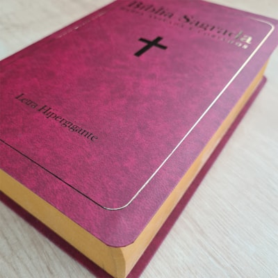 image_8981a60d-bfd4-417a-a78b-df819610ecc7