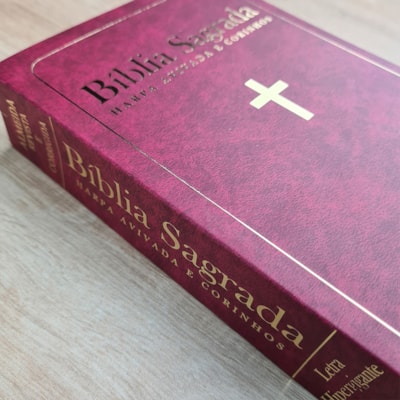 image_1606f57e-773a-4273-a6ab-65fc3aea936e