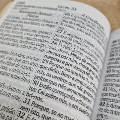 image_fba4dbce-0971-4d1c-8e77-6670380de2e1