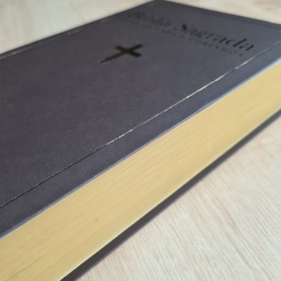 image_24510b1f-158e-4843-af60-ca341cbd9d53