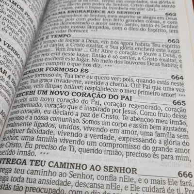 image_b3b7a068-ce62-4cd3-95b4-3b3cebf07645