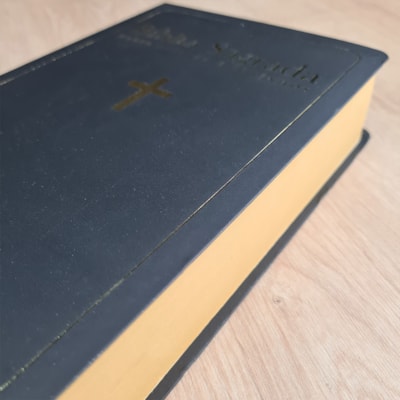 image_40ccba95-41fb-4ea4-ac77-6381cbe70409