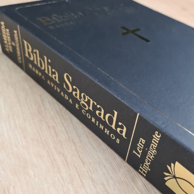 image_acf9a693-bac1-4642-aff7-b827614309e3