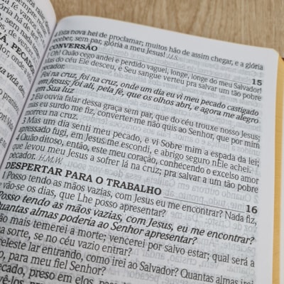 image_f842c861-8338-4708-888a-337fb5c55b9c