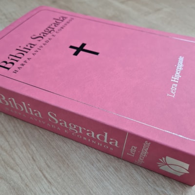 image_244df7d6-5da8-46c5-9295-182b1c1dfb23