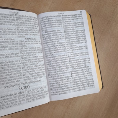 image_03d16267-ea47-46a9-987c-98988907e9c3