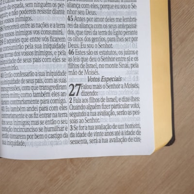 image_ba1cdfeb-6fc8-479e-8949-766e42d46dc2