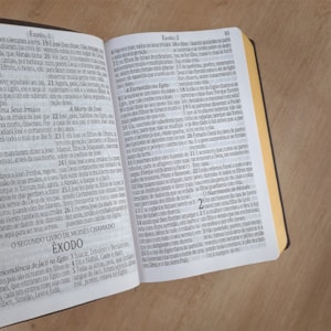 Segunda imagem do produto Bíblia Sagrada com Harpa Avivada e Corinhos | ARC  | Letra Jumbo | Capa Semiflexível Bordo