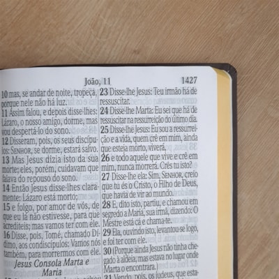 image_ca78f378-1336-411f-a2fd-95351be9dee6