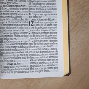 Bíblia Sagrada com Harpa Avivada e Corinhos | ARC | Letra Jumbo | Capa Semiflexível Marrom