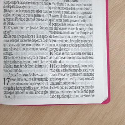 image_fd5f4c5e-21a5-4e03-923f-ad95c96448cb