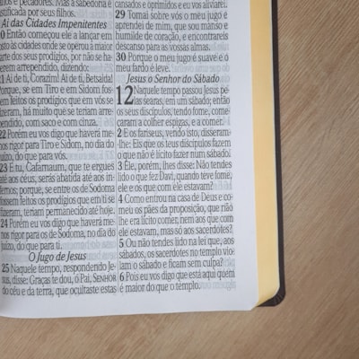 image_619df50f-96ef-4e27-b0aa-c53e9713fa83