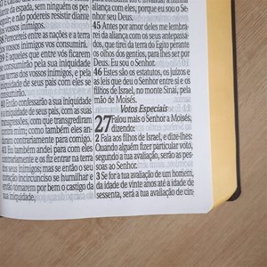Bíblia Sagrada com Harpa Avivada e Corinhos | ARC | Letra Jumbo | Capa Semiflexível Rosa