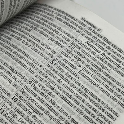 image_8c9c5a6a-4ffe-4627-88dc-69c7652b915e