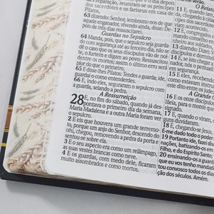 Bíblia Sagrada com Harpa Avivada e Corinhos | Letra Gigante | ARC | Laminada Preta e Dourado