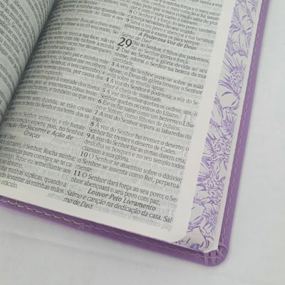 image_e709dad4-86c0-434d-8d0d-a5772330c16d