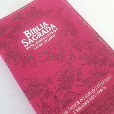 image_50432b78-aeb5-4dd2-9f49-de34c960202e