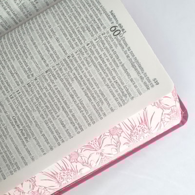 image_481af7ed-f0fc-412b-941e-1becdeaf97c1