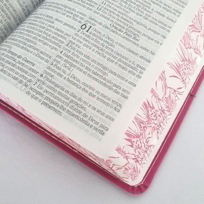 image_190e4304-8330-442d-89f4-f746cc5d98f1