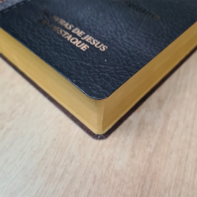 image_f0b3510b-6fa2-44e0-a784-23ec505b5c5d