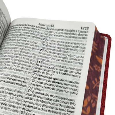 image_e6dee681-f52e-4bc4-a57c-5626afff9a4b