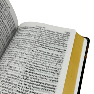 image_89b5496d-e32c-408d-89f9-cb815e93d96f